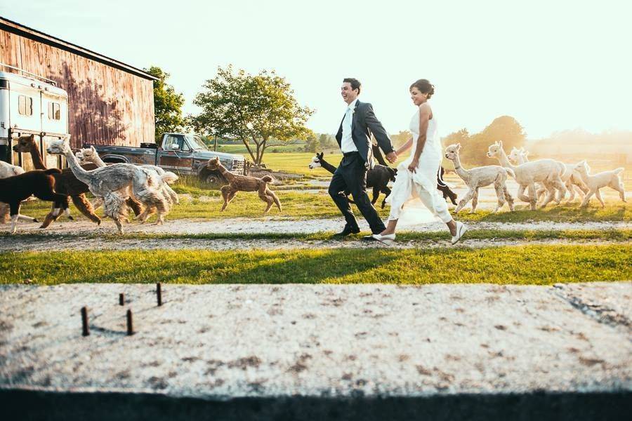 Barn wedding ceremony