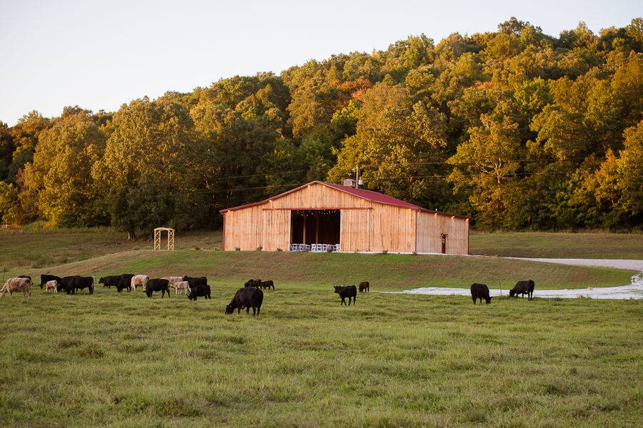 Working farm