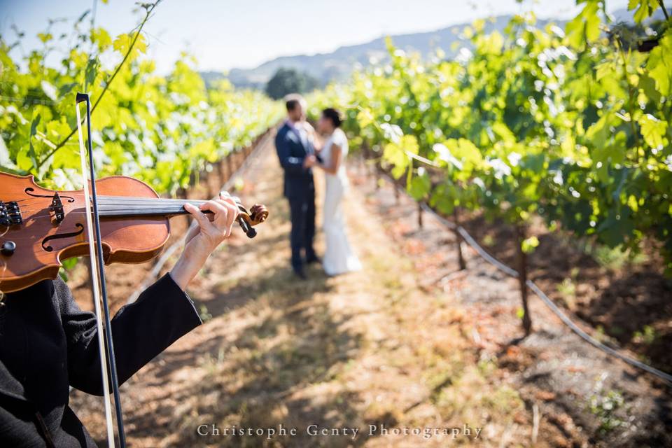 Wine country wedding