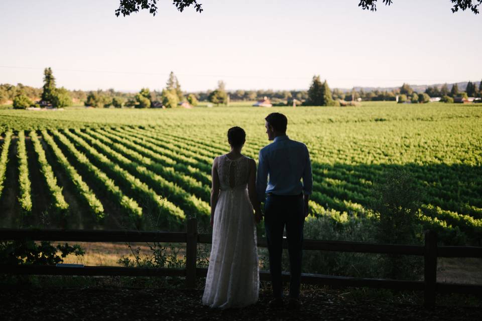 View of the vast field