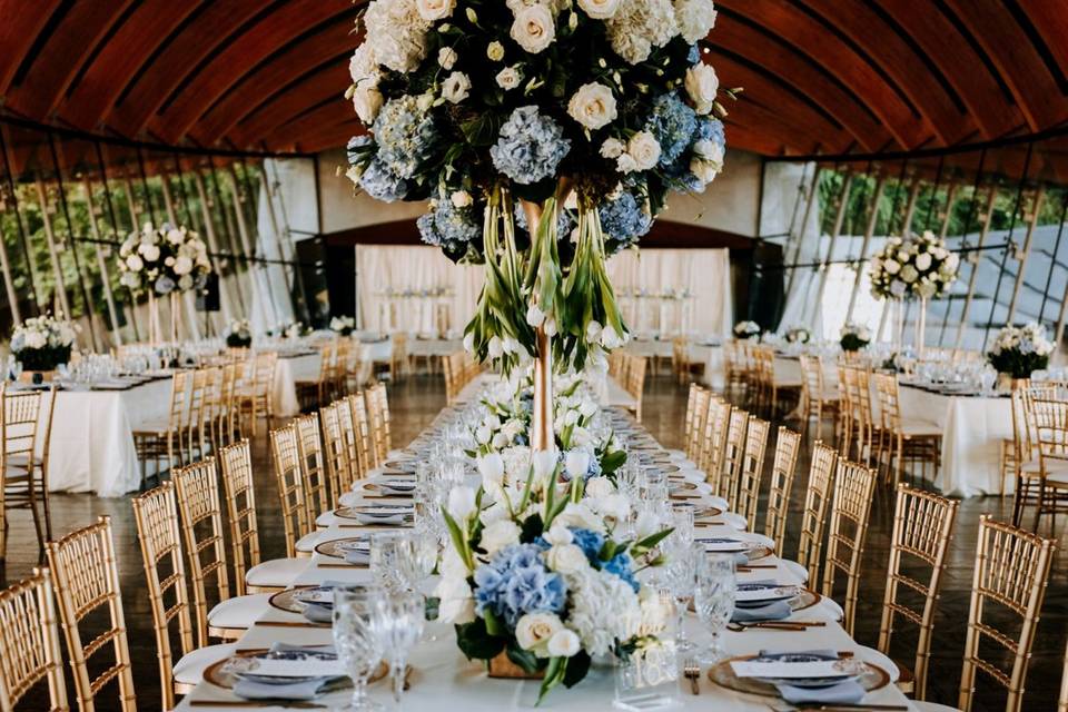 Reception - Eleven