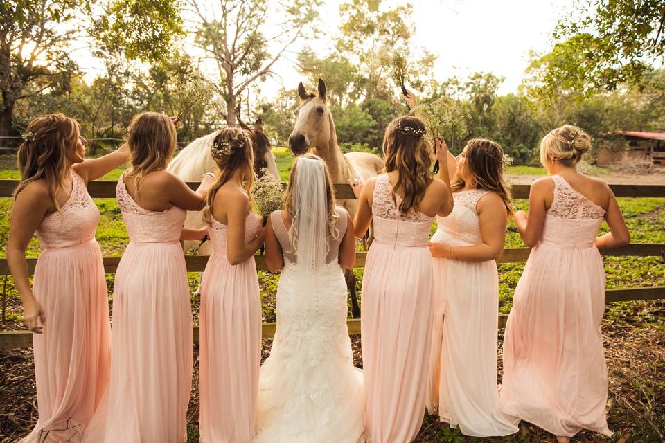 Bride and bridesmaids