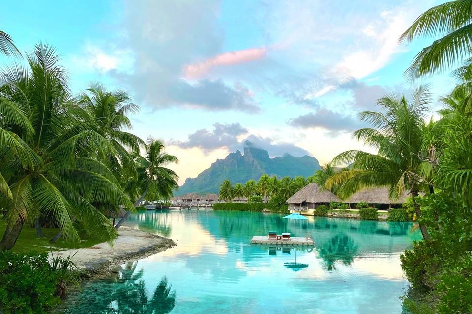 Off to Neverland Travel