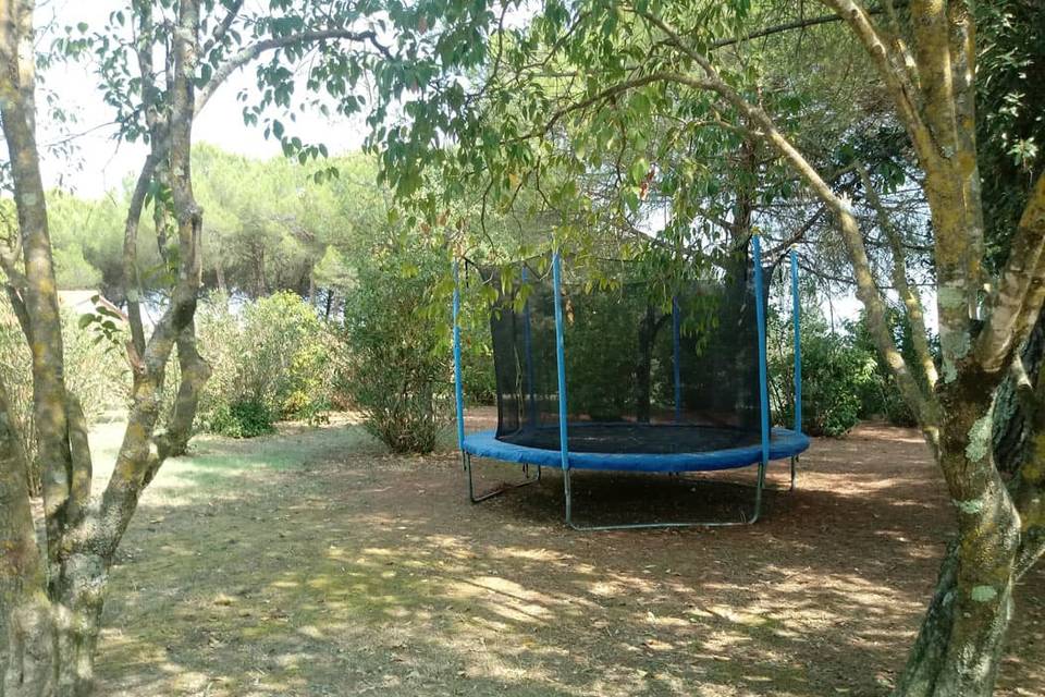 La Collinella