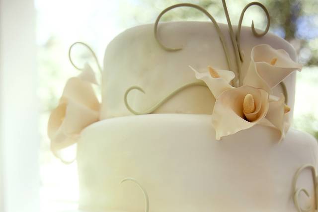 Sky's the Limit! Custom Cakes & More