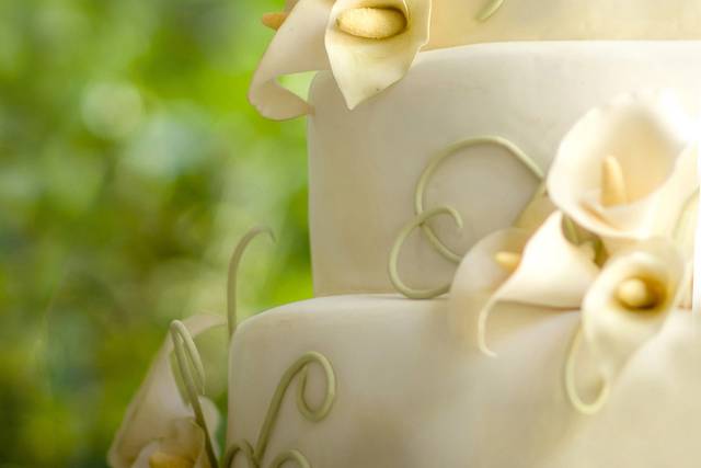 Sky's the Limit! Custom Cakes & More