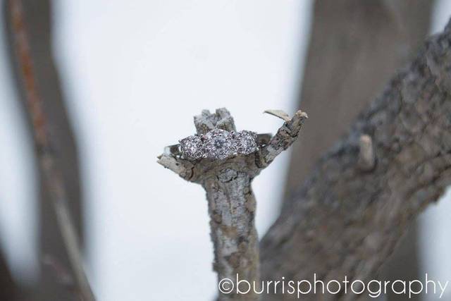 Burris Photography