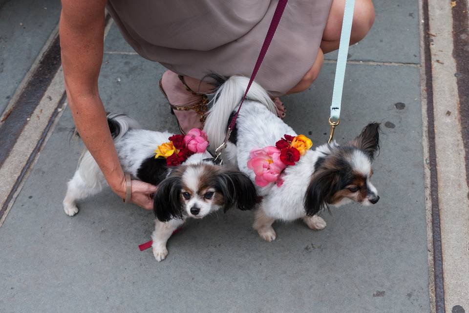 Flower accessories