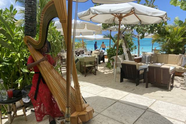 Beachfront Cocktail Hour