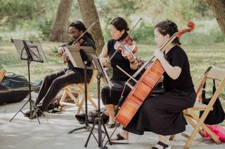 The Noble Strings_DFW