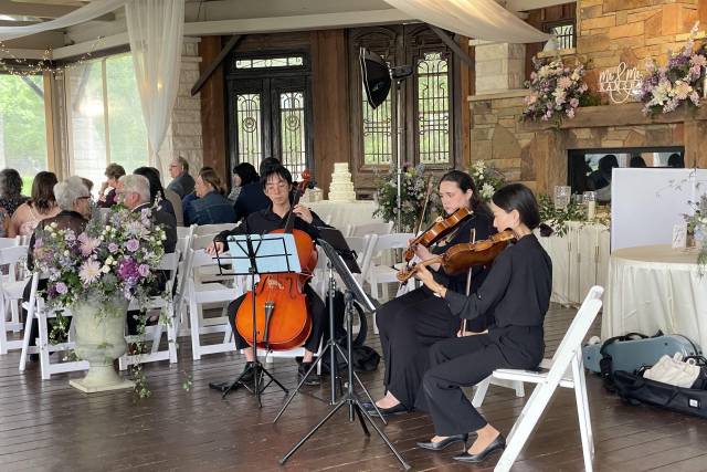 The Noble Strings_DFW