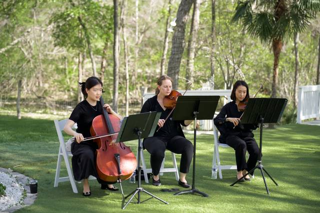 The Noble Strings_DFW