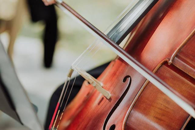 The Noble Strings_DFW