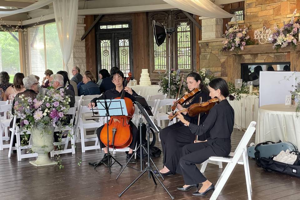 The Noble Strings_DFW