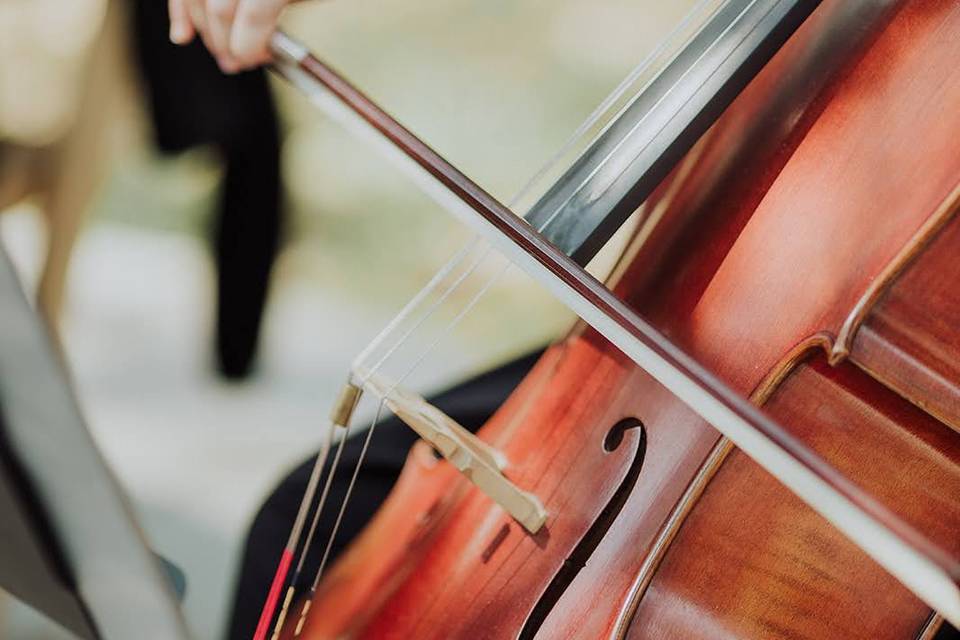 The Noble Strings_DFW