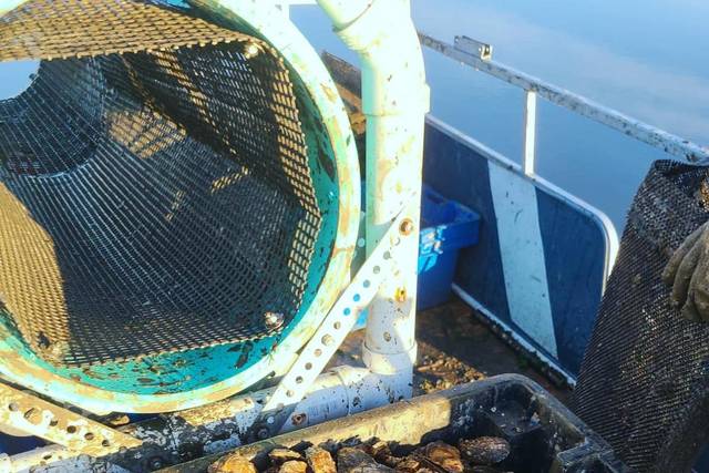 Hidden Coast Shellfish