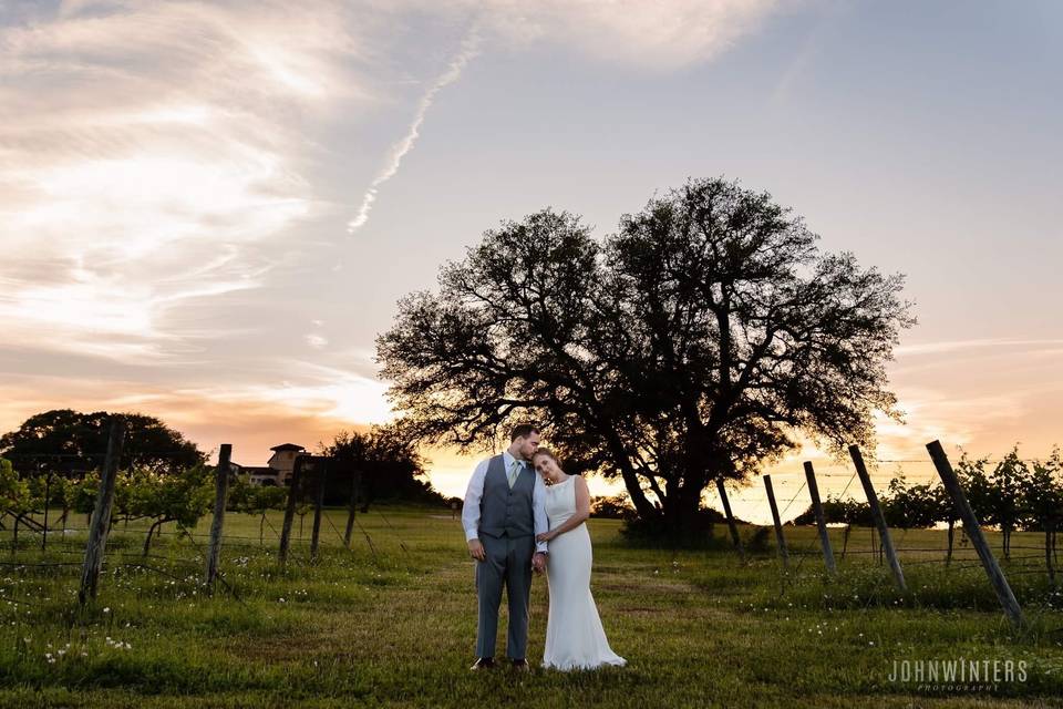 Vineyard Wedding