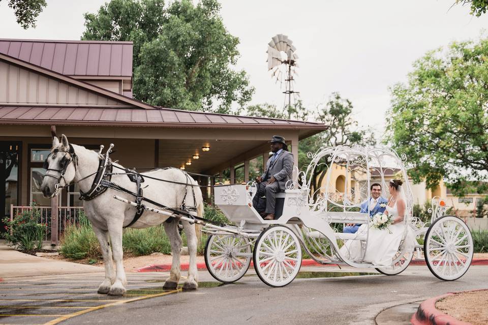 Wedding in Kyle