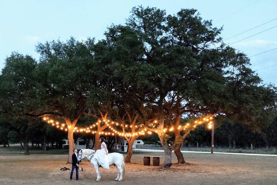Photo shoot with horse