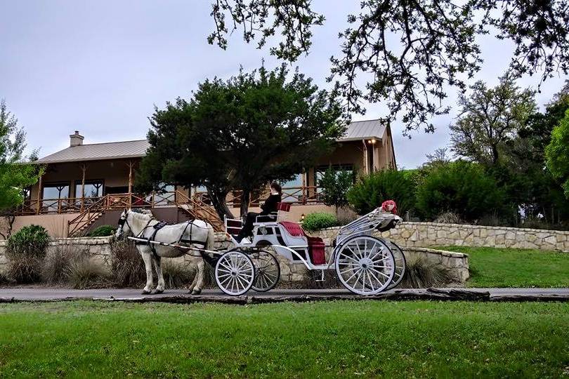 Wedding in Helotes