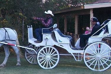 White Horse and Carriage Company