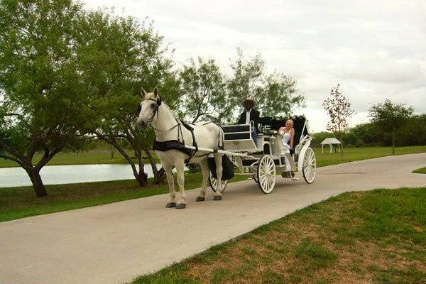 White Horse and Carriage Company