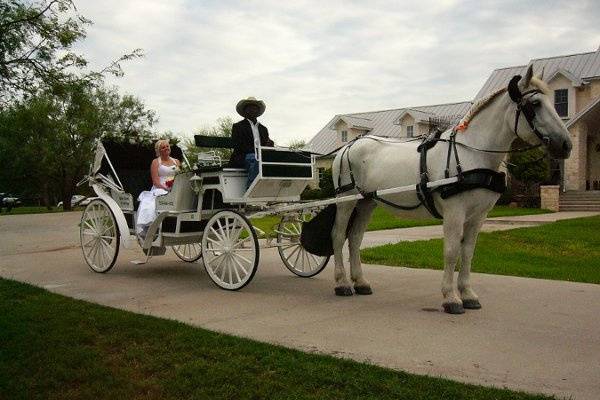 White Horse and Carriage Company