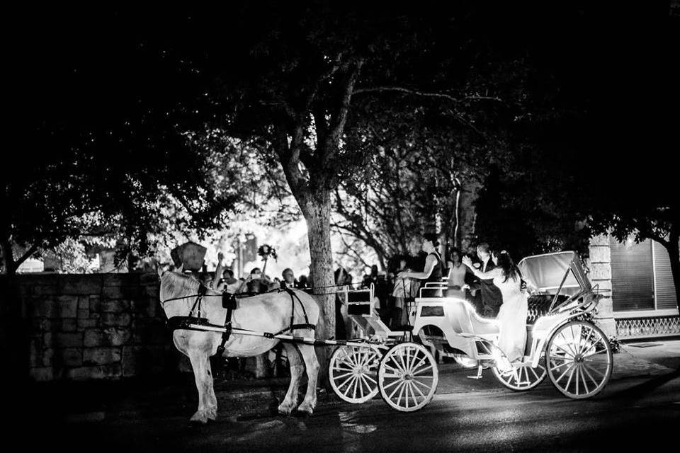 White Horse and Carriage Co.