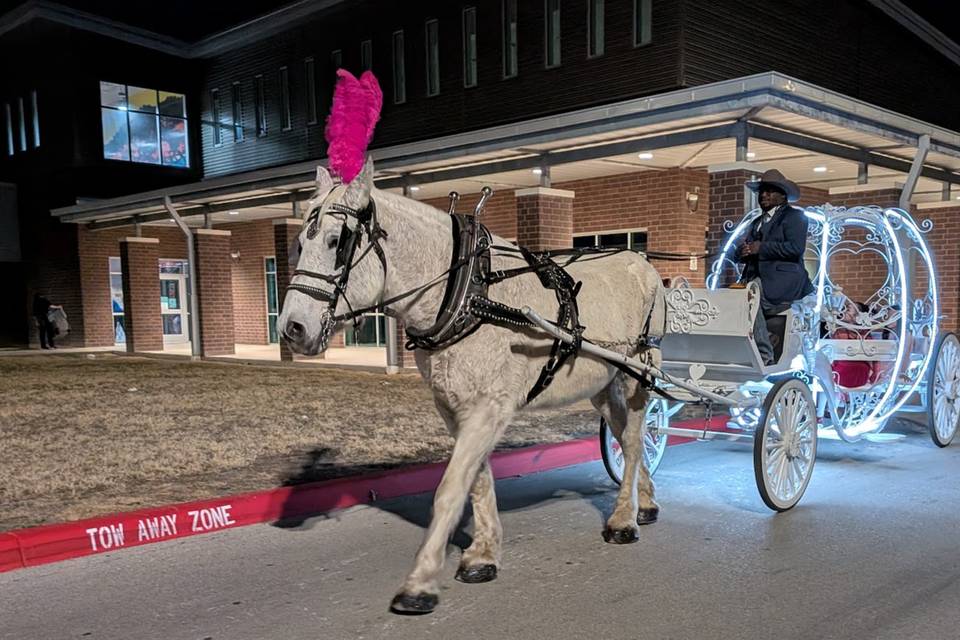 Cinderella Carriage