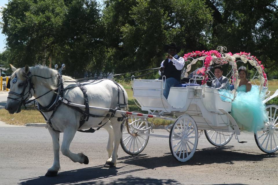 White Horse and Carriage Company