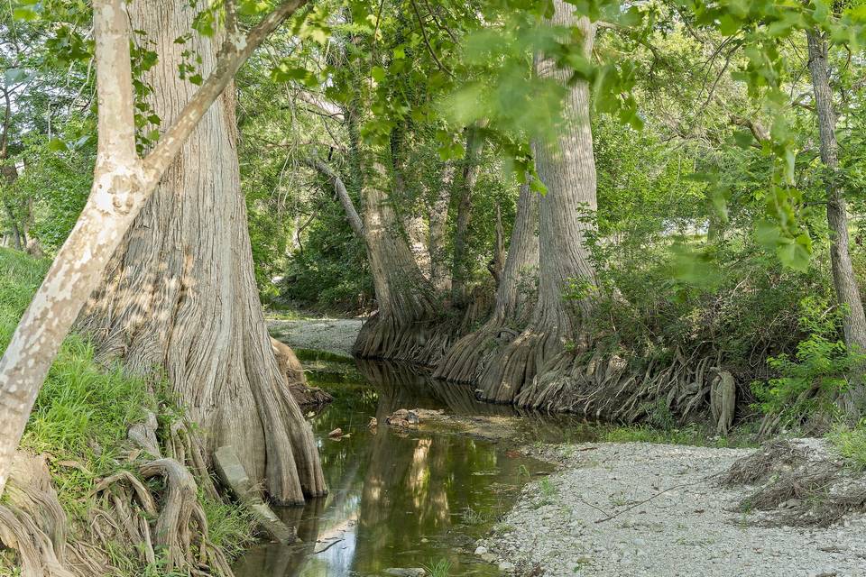 Creek views