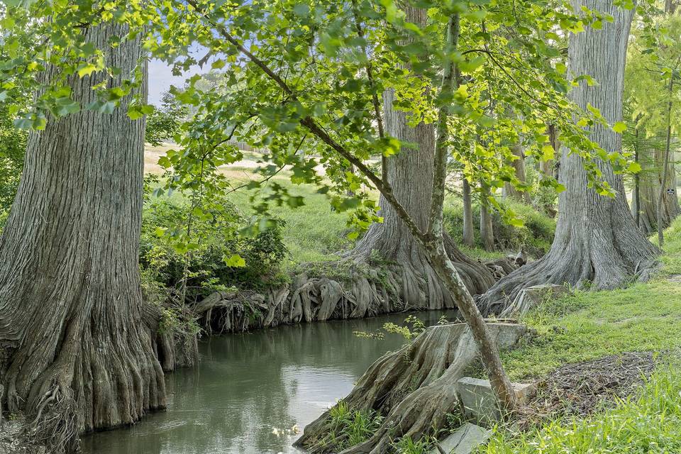 Creek views