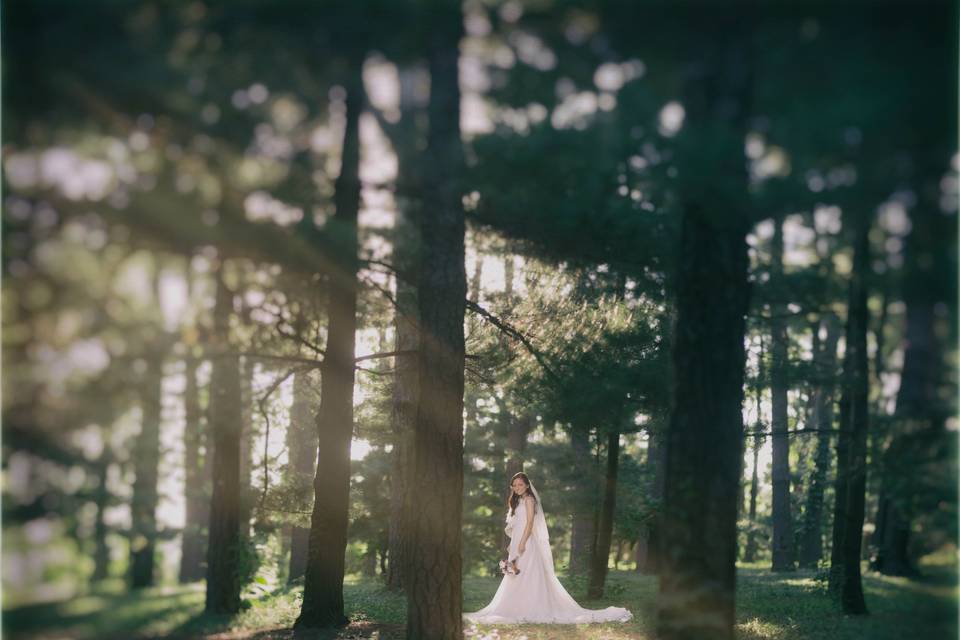Christopher Weddings