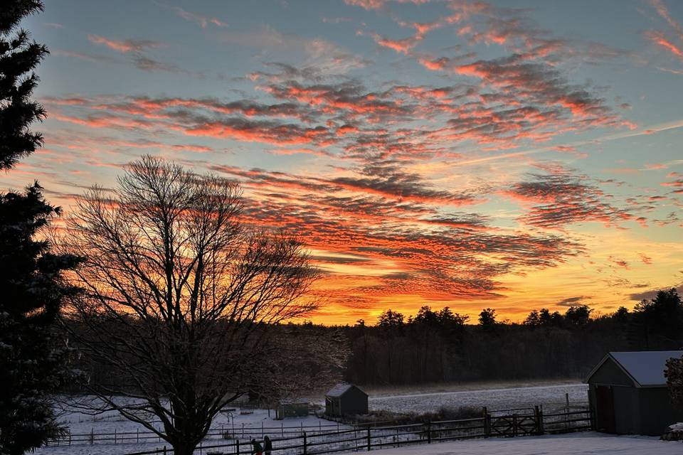 WINTER FIELD