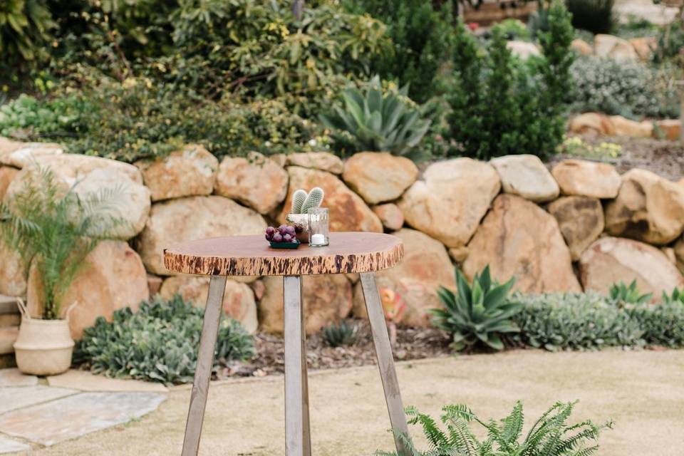 Eucalyptus Cocktail Table