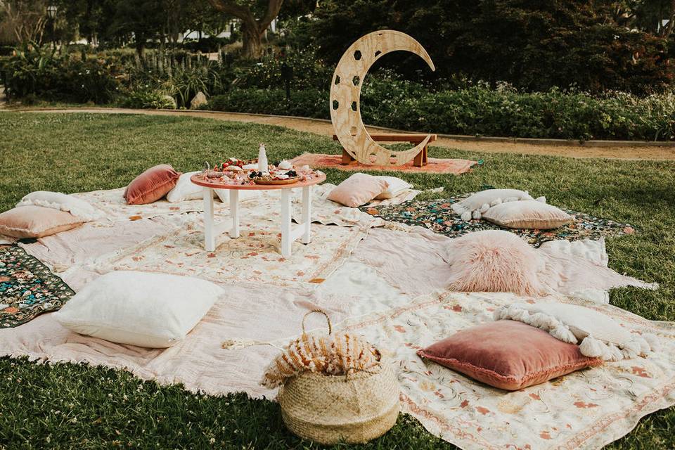 Picnic Vibes