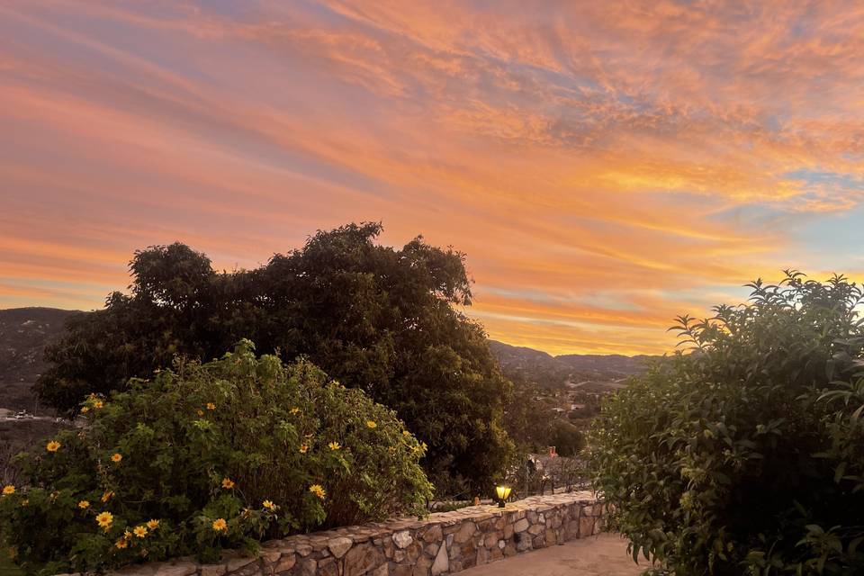 So many beautiful sunsets