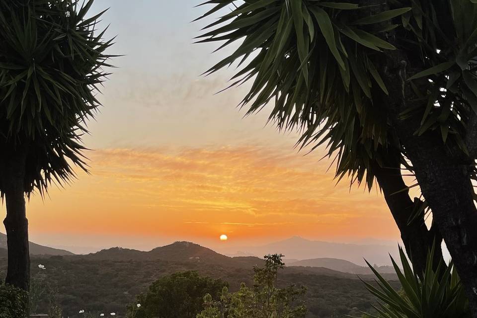 So many beautiful sunsets