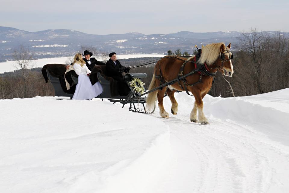 Steele Hill Resorts