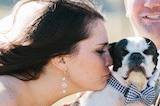 Bride and her pet