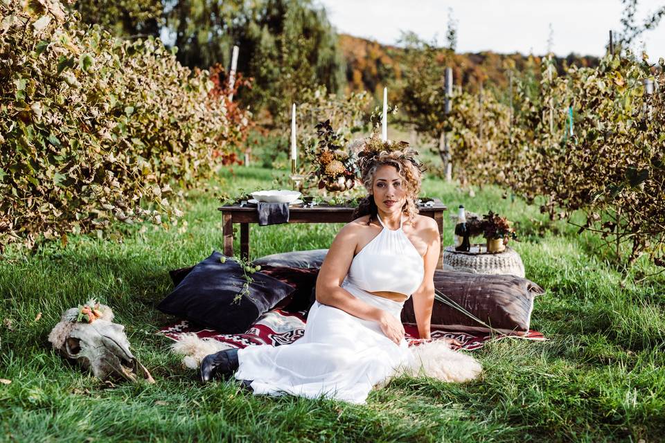 Vineyard Elopement