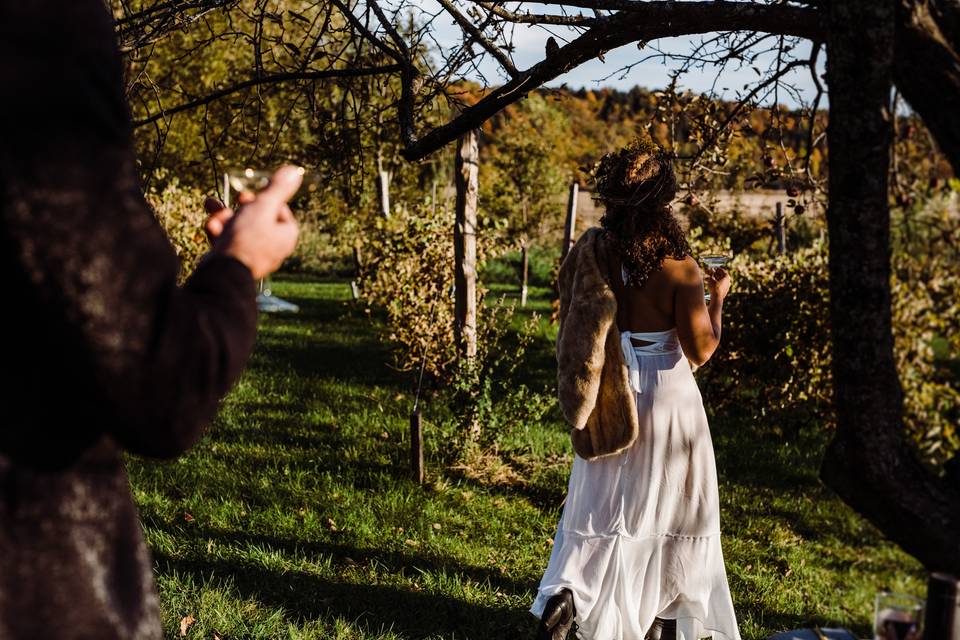 Vineyard Elopement