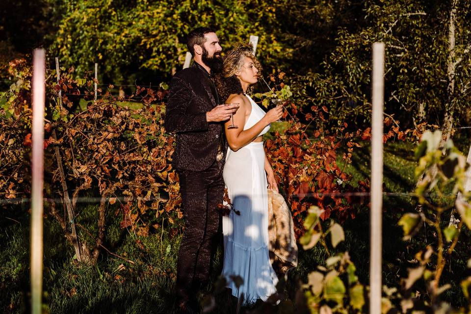 Vineyard Elopement