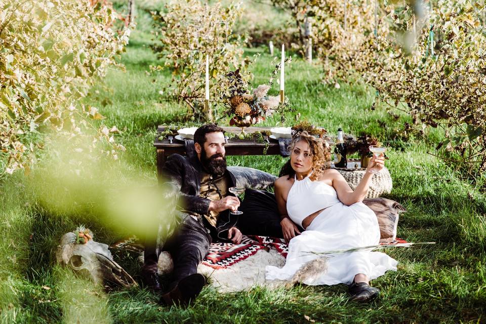 Vineyard Elopement