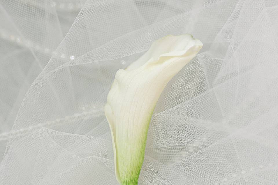 The tiny details