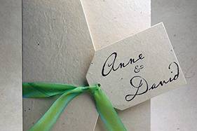 Green ribbon envelope