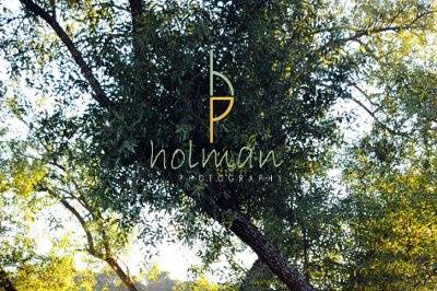 Wine country fall wedding