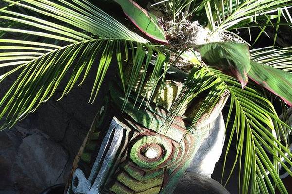 Tiki God with Palm Leaf Tops