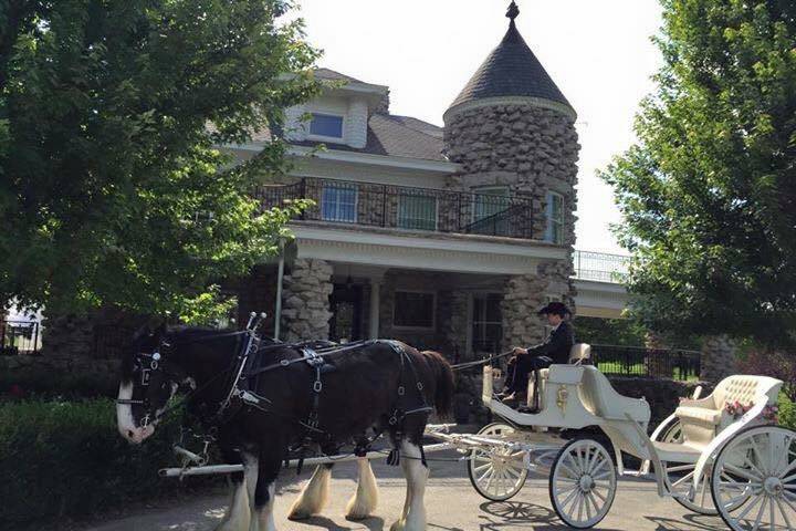 Wedding Springfield, MO