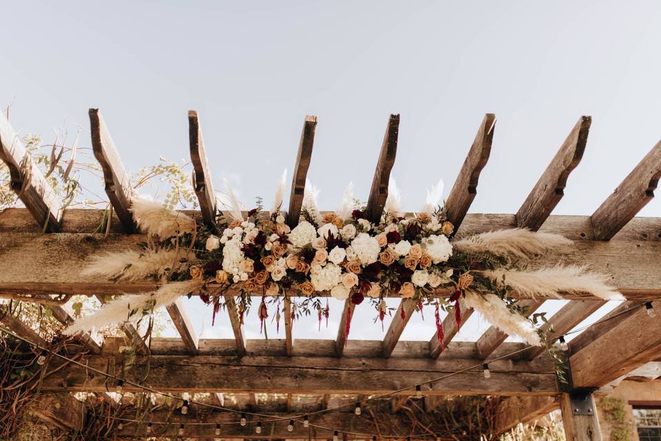 Flowers on our Pergola